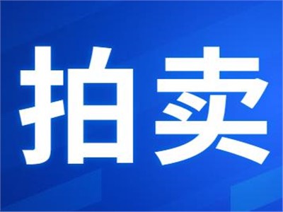 希尔得拍卖|衡东县公共机构屋顶光伏发电项目27年特许经营权拍卖公告