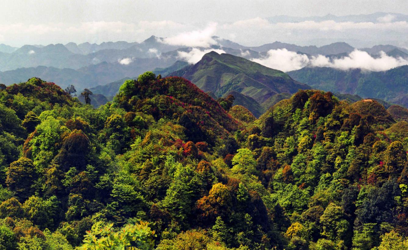 贵州省黔西南州安龙县国家储备林基地建设林权资产评估